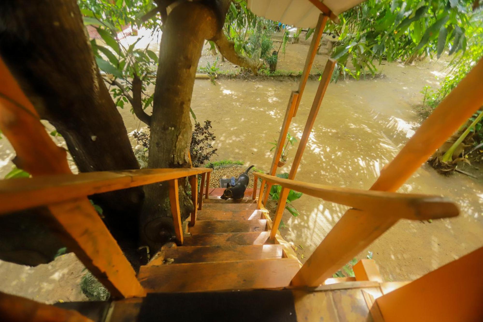 Sigiri Sky Home & Treehouse Sigiriya Exterior foto