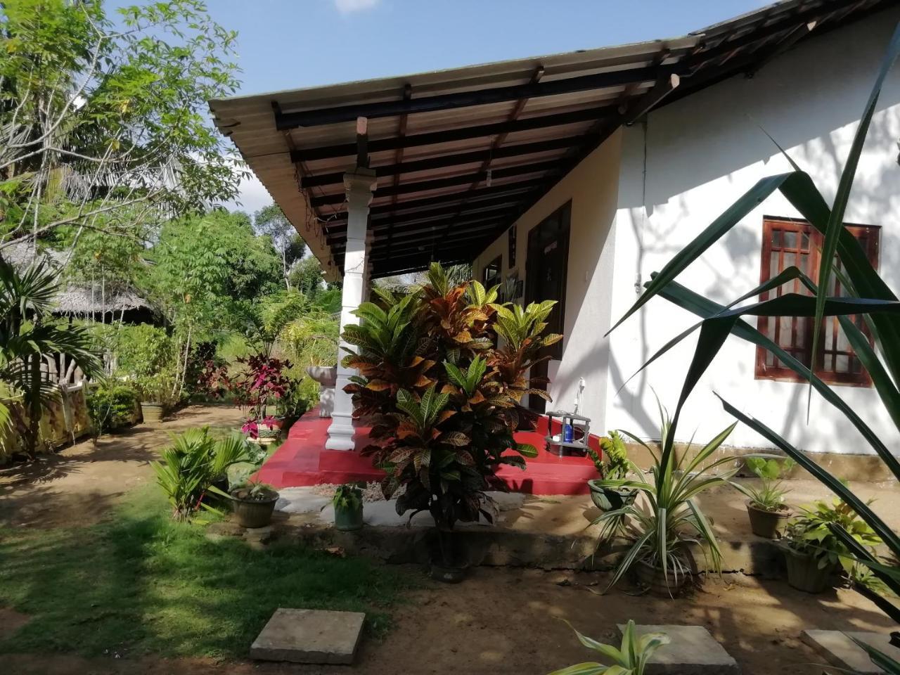 Sigiri Sky Home & Treehouse Sigiriya Exterior foto